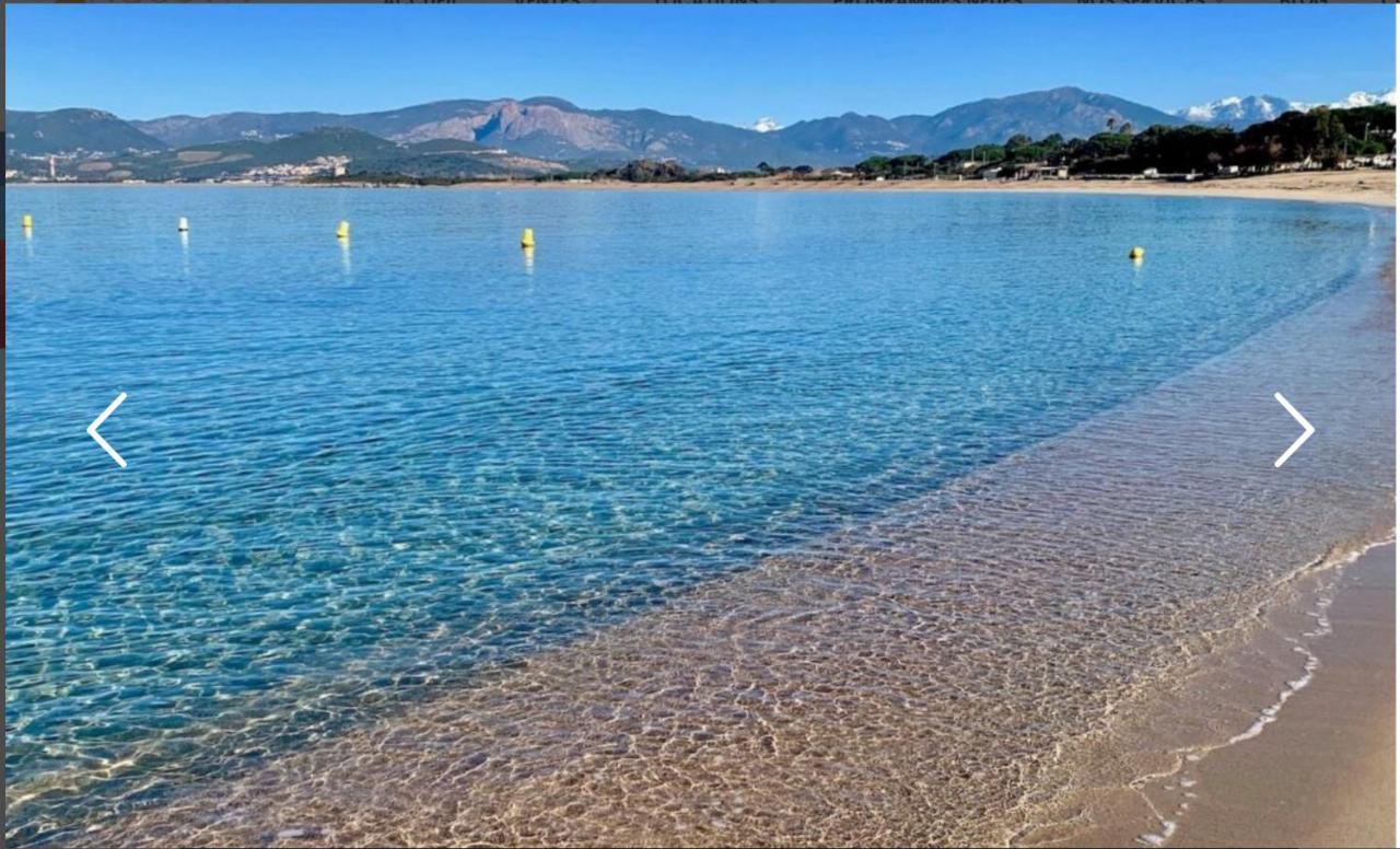 شقة Vue Magnifique Sur Baie Ajaccio بورْتِكْسْيو المظهر الخارجي الصورة
